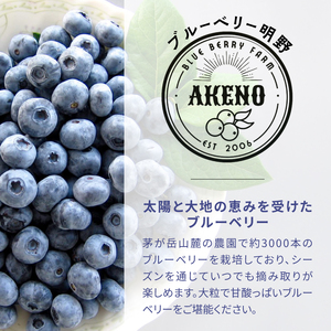 【中粒】 冷凍 ブルーベリー 1000g ベリー ［h290012］