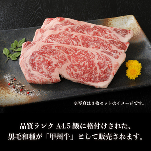 【福袋】甲州牛 満喫詰め合わせ Aセット　黒毛和牛 サーロイン ステーキ 1枚 250g 焼肉用 カルビ 300g 切り落とし 300g 品質ランク A4以上 牛肉 肉 和牛 贅沢 バーベキュー ミート池田 山梨県 北杜市