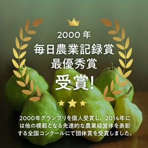 【2026年先行予約】西洋梨・ラフランスジュース詰め合わせセット　梨3～4個 ジュース 100％ 720ml 1本 フルーツ 果物 甘い ジューシー 糖度14度以上 飲料 安全安心 高品質 プレミアム 贈答品 贈答 数量限定 オーロラ シルバーベル 山梨県産 北杜市