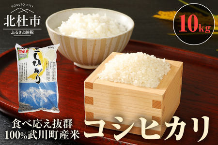 山梨最大の米処　北杜市武川町産　コシヒカリ10kg×1袋 米 粘り 甘味 つや 食べ応え抜群 [h057]