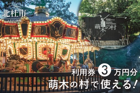 萌木の村全店舗利用券(1,000円×30枚)