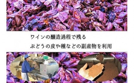 ワインたまご50個 定期便（全6回）