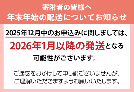 【緊急支援品】 甲州牛100％ハンバーグ 山梨県 北杜市産 180g×4ヶ入