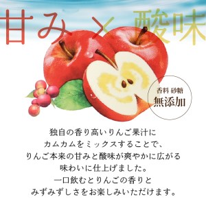 りんご100％ 200ml 24本 伊藤園 紙パック りんご りんごジュース 伊藤園りんごジュース 