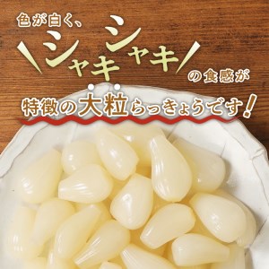 ちょっと大粒　色白美人らっきょう　国産無添加　１kg