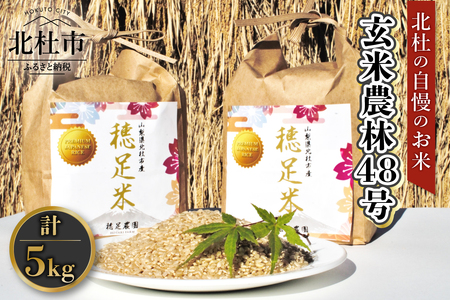 【令和7年度米】玄米農林48号 5kg×1袋  米 令和7年度米 農林48号 玄米 5kg 自慢のお米 八ヶ岳 山梨県 北杜市 [h154]