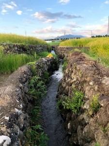 【令和7年度米3ヵ月定期便】8分づき農林48号 5kg×3回 米 【定期便】 3ヵ月定期便 計3回お届け 令和7年度米 農林48号 5kg 8分づき 自慢のお米 八ヶ岳 山梨県 北杜市 仕送りギフト