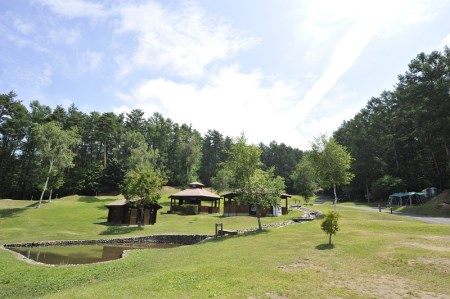 コテージ アウトドア 宿泊補助券 30,000円分 PICA八ヶ岳明野 ピカキャンプ場 キャンプ テント チケット 利用券 優待券