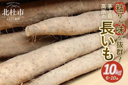 茅ヶ岳高原 粘りと味が抜群の長芋 10㎏箱 長芋 長いも 10kg 約6~10本 ながいも 山芋 野菜 とろろ 磯辺揚げ 粘り 期間限定 明野町 茅ヶ岳高原 山梨県 北杜市