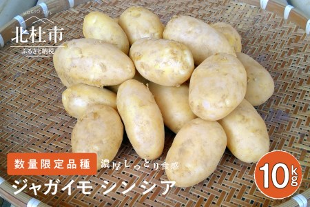 【数量限定品種】濃厚しっとり食感　ジャガイモ　シンシア　10kg