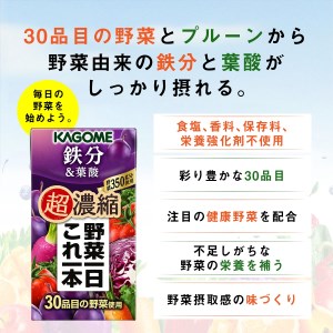 【3ヶ月定期便】カゴメ 野菜一日これ一本 超濃縮 鉄分&葉酸 125ml 紙パック 24本入 （野菜ジュース）