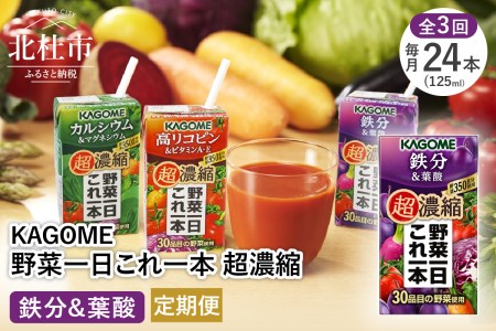 【3ヶ月定期便】カゴメ 野菜一日これ一本 超濃縮 カルシウム&マグネシウム 125ml 紙パック 24本入 (野菜ジュース)