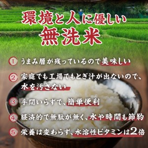 【6ヵ月定期便】 金芽米特別栽培米農林48号2kg×２