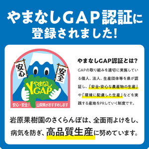 さくらんぼ 2L～3L 【先行予約】約200g 一段並 毎日農業記録賞 全国最優秀賞受賞 極上品大玉 佐藤錦 紅秀峰 やまなし GAP 認証 フルーツ ※2025年6月中旬以降順次発送 岩原果樹園 山梨県 北杜市 送料無料