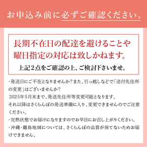 さくらんぼ 2L～3L 【先行予約】約200g 一段並 毎日農業記録賞 全国最優秀賞受賞 極上品大玉 佐藤錦 紅秀峰 やまなし GAP 認証 フルーツ ※2025年6月中旬以降順次発送 岩原果樹園 山梨県 北杜市 送料無料