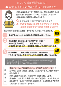 さくらんぼ 2L～3L 【先行予約】約200g 一段並 毎日農業記録賞 全国最優秀賞受賞 極上品大玉 佐藤錦 紅秀峰 やまなし GAP 認証 フルーツ ※2025年6月中旬以降順次発送 岩原果樹園 山梨県 北杜市 送料無料