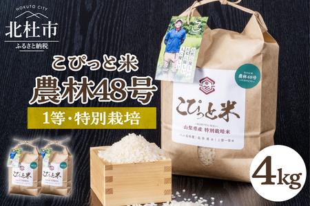 【令和５年産】こぴっと米【農林48号】4kg　1等特別栽培100％