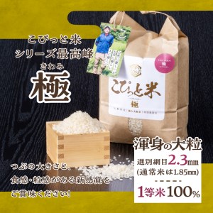 【令和5年度】こぴっと米【極】4kg大粒厳選・１等特別栽培米100％