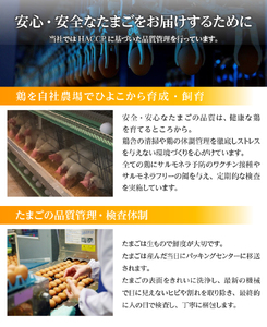 極み卵かけご飯Bセット（明野のたまご20個、武川米48号450g×3袋） [h081]