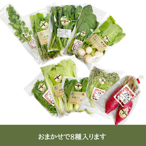 有機野菜おまかせ8種セット０７ 有機野菜 おまかせ 8種 セット 新鮮 九州屋ファーム 明野 山梨県 北杜市  