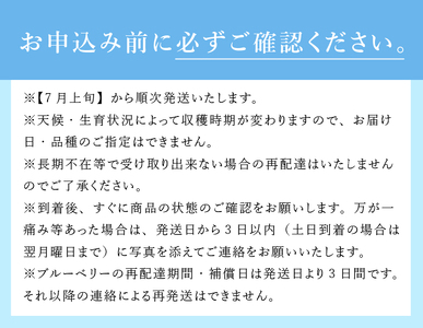 【2025年先行予約】7月～9月発送！農家秘蔵の極甘ブルーベリー　中粒500g（250g×2パック）　ブルーベリー 極甘 中粒【2025年先行予約】 計500g ハイブッシュ・ブルーベリー系 ラビットアイ・ブルーベリー系 完熟 濃厚 甘い 冷蔵 期間限定 7月～9月発送 フルーツ くだもの 山梨県 北杜市