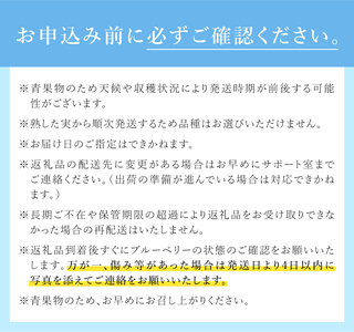 【2026年先行予約】甘み際立つ、完熟大粒ブルーベリー 500g（250g×2パック） ベリー [h186005]