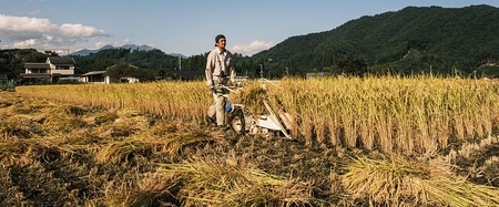 【令和5年度】そらくも農場のミネラルたっぷりどんぐり米(白米３kg）＋おじら米（玄米３kg）