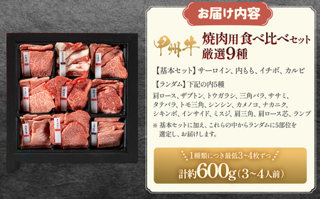 甲州牛9種 600g 自宅で極上焼肉体験！ 焼肉セット AD-260
