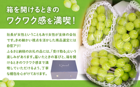 訳あり 家庭用 シャインマスカット 3.5㎏相当 山梨シャインマスカット