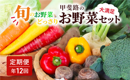 【定期便・年12回】旬のお野菜を少しずつたくさん！甲斐路の彩りお野菜セット