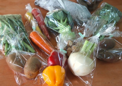 【定期便・年4回】旬のお野菜を少しずつたくさん！甲斐路の彩りお野菜セット