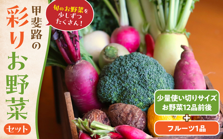 旬のお野菜を少しずつたくさん！甲斐路の彩りお野菜セット