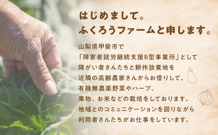 旬のお野菜を少しずつたくさん！甲斐路の彩りお野菜セット