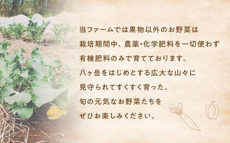 旬のお野菜を少しずつたくさん！甲斐路の彩りお野菜セット