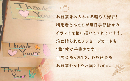 旬のお野菜を少しずつたくさん！甲斐路の彩りお野菜セット
