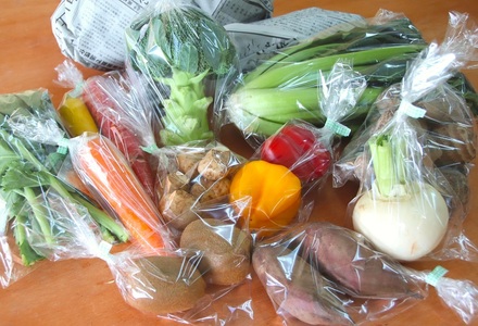 【定期・年12回】旬のお野菜がどっさり！甲斐路の大満足お野菜セット