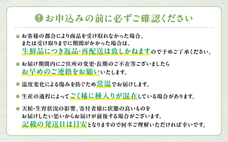 【2026年分発送】こだわり シャインマスカット 1房 650g以上 先行予約 産地直送 フルーツ 果物 ぶどう 葡萄 CD-2