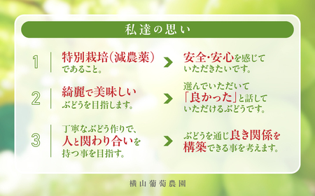 【✩先行予約✩2024年/令和6年発送分】減農薬シャインマスカット1.2㎏／2房