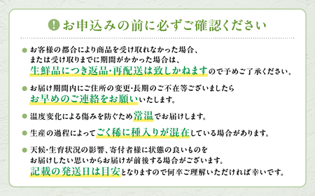 【2025年発送】特別栽培 減農薬 シャインマスカット 2房 1.2㎏ 先行予約 先行 予約 山梨県産 産地直送 フルーツ 果物 くだもの ぶどう ブドウ 葡萄 シャイン シャインマスカット 新鮮 人気 おすすめ 国産 贈答 ギフト お取り寄せ 甘い 皮ごと 山梨 甲斐市 CF-2