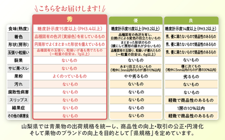 種なし ピオーネ 約2㎏ 山梨県産ぶどう ぶどう