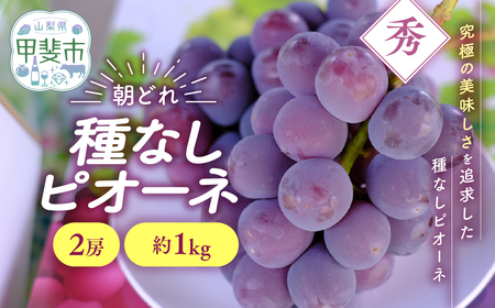 種なし ピオーネ 2房 約1㎏ 山梨県産ぶどう ぶどう