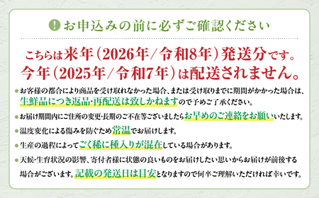 種なし ピオーネ 2房 約1㎏ 山梨県産ぶどう ぶどう
