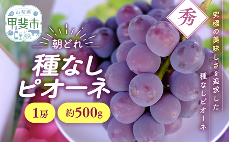 種なし ピオーネ 1房 約500g 山梨県産ぶどう ぶどう