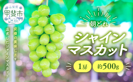 シャインマスカット 1房  山梨シャインマスカット