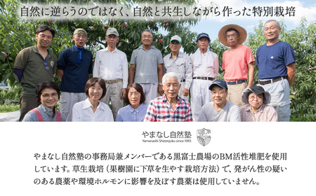 『特別栽培』自然塾夏 シャインマスカット 2㎏ 山梨シャインマスカット