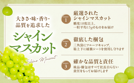 【2026年発送】 最高級 大房 シャインマスカット 1房 約700g 山梨シャインマスカット