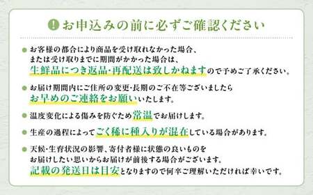 【2026年発送】 最高級 大房 シャインマスカット 1房 約700g 山梨シャインマスカット