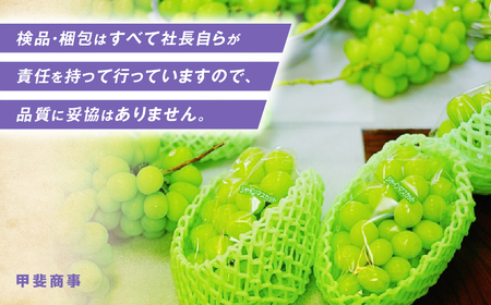 【2026年発送】 ご家庭用 シャインマスカット 約2.0㎏ 訳ありシャインマスカット AN-131