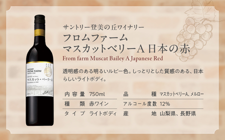 赤ワイン飲み比べ3本セット 山梨  ワイン 赤ワイン 