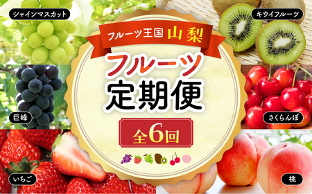 フルーツ王国山梨 フルーツ定期便 6回 山梨 フルーツ くだもの くだもの定期便 いちご さくらんぼ 桃 巨峰 シャインマスカット キウイ 定期便 山梨県産 産地直送 フルーツ 果物 くだもの ぶどう ブドウ 葡萄 シャイン シャインマスカット 新鮮 人気 おすすめ 国産 贈答 ギフト お取り寄せ 山梨 甲斐市 AD-163